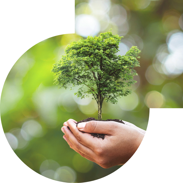 关怀人类、文化、环境与社会